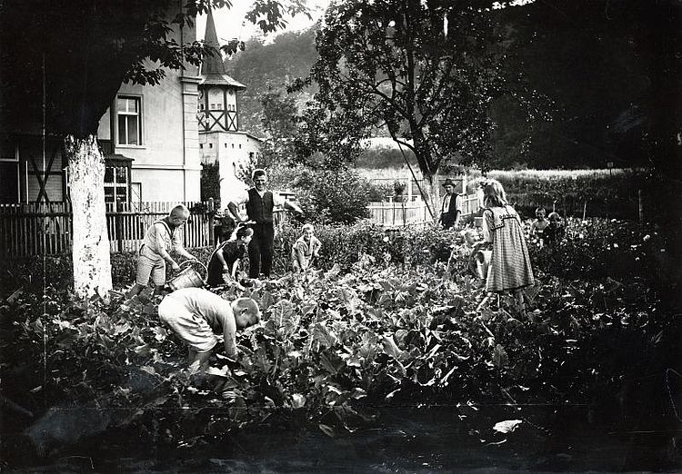 Im DRK-Erholungsheim Sonnenstein in Thüringen helfen Kinder im Gemüsegarten (DRK)